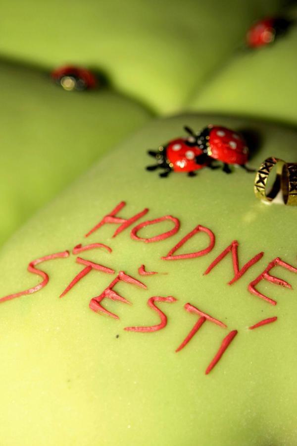 Hotel Ludmila Mělník エクステリア 写真